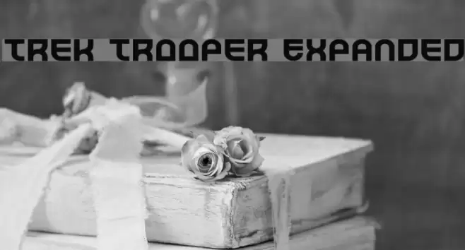 Trek Trooper Expanded Font examples