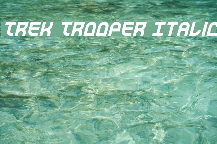 Trek Trooper Italic Font examples