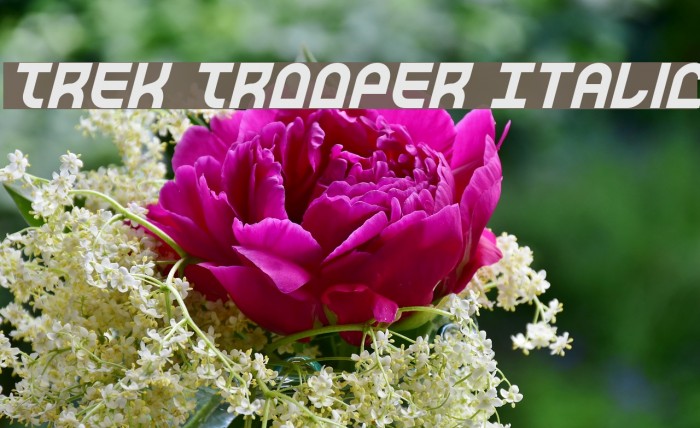 Trek Trooper Italic Font examples