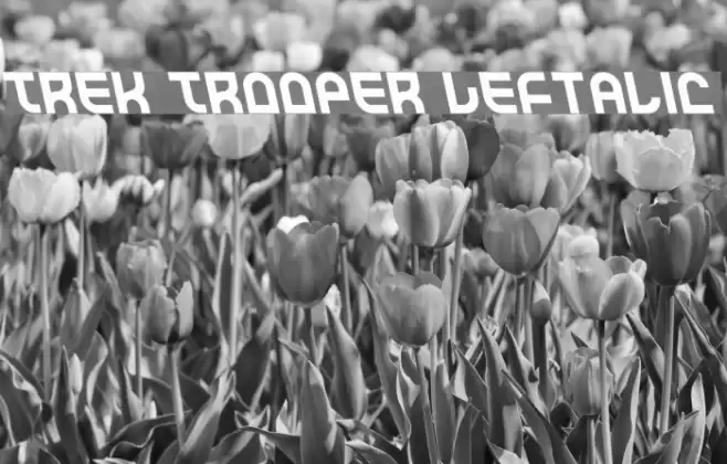 Trek Trooper Leftalic Font examples