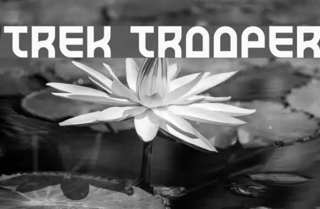 Trek Trooper Polices examples