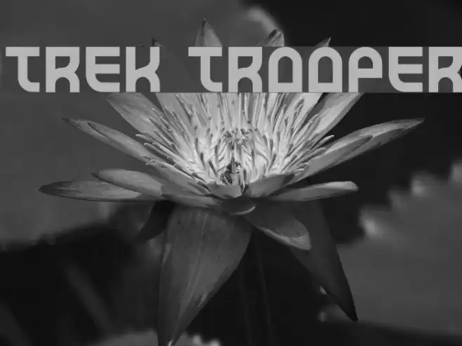 Trek Trooper Polices examples