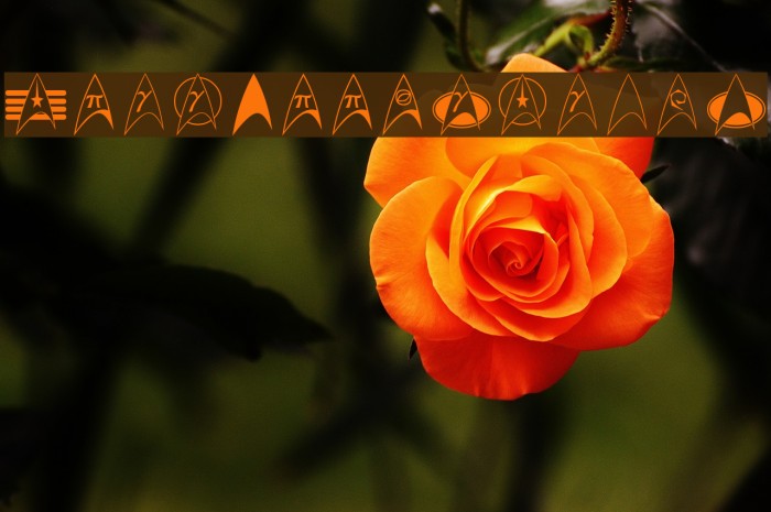 TrekArrowheads Font examples