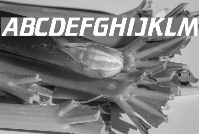 Trekker Regular Font examples