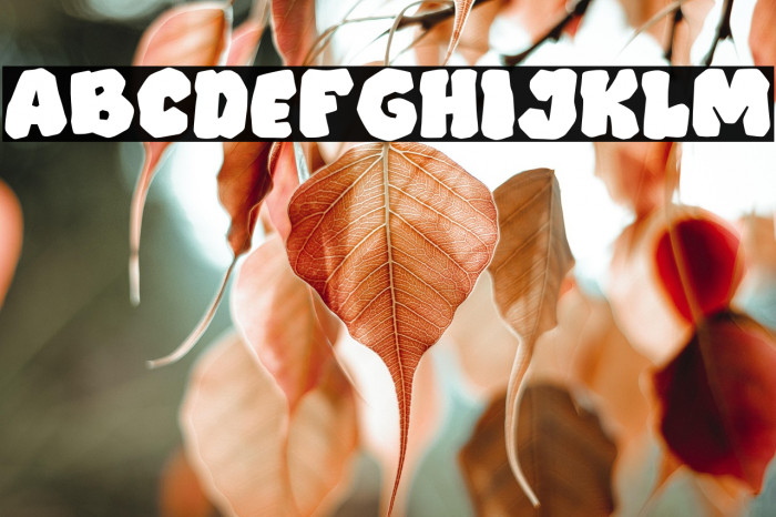 Trekstone PERSONAL USE ONLY! Example 1