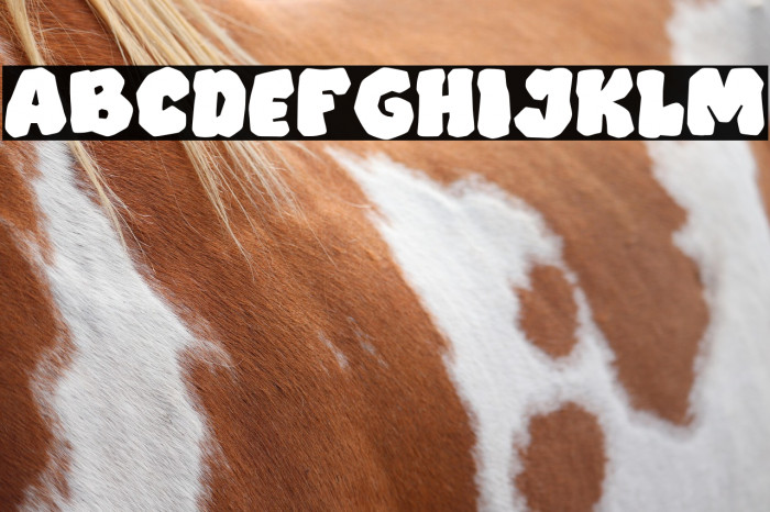 Trekstone PERSONAL USE ONLY! Example 2