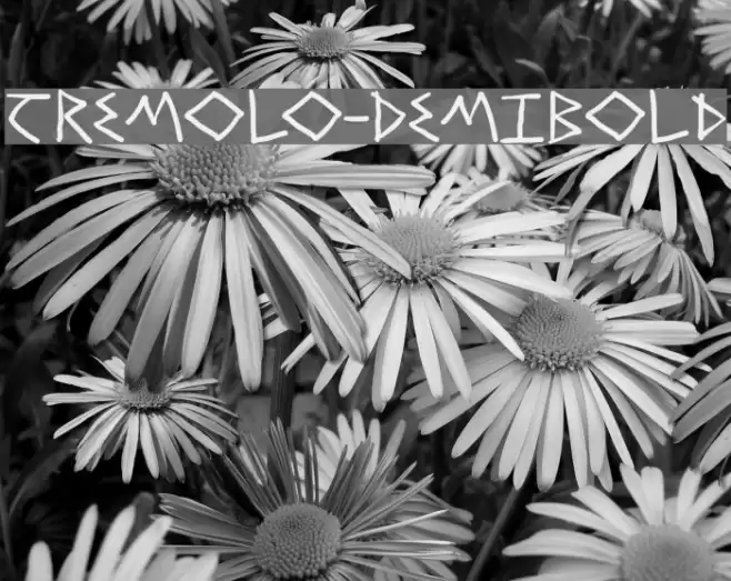 Tremolo-DemiBold Font examples