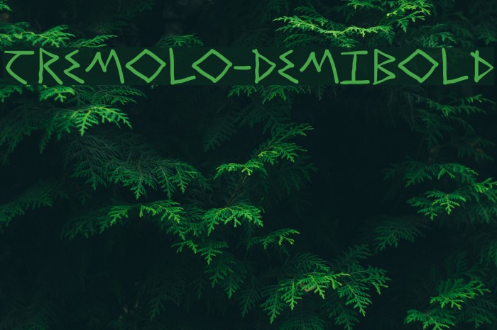 Tremolo-DemiBold Example 2