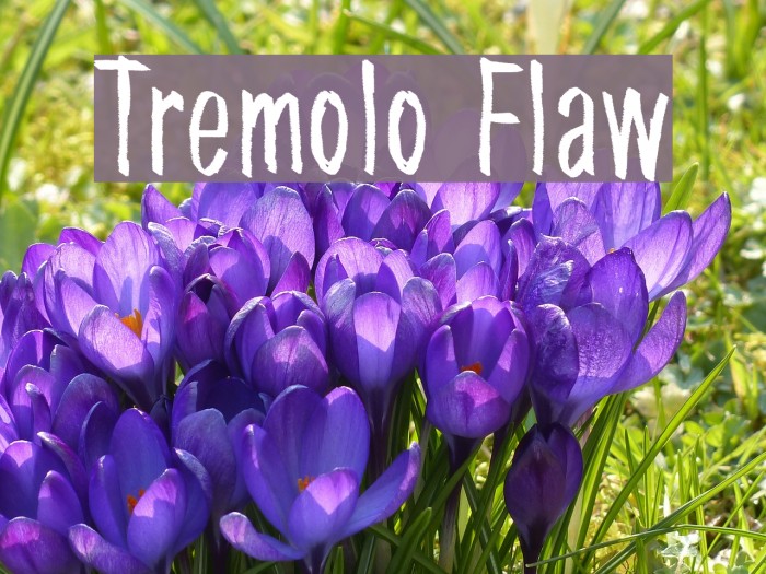 Tremolo Flaw Шрифта examples