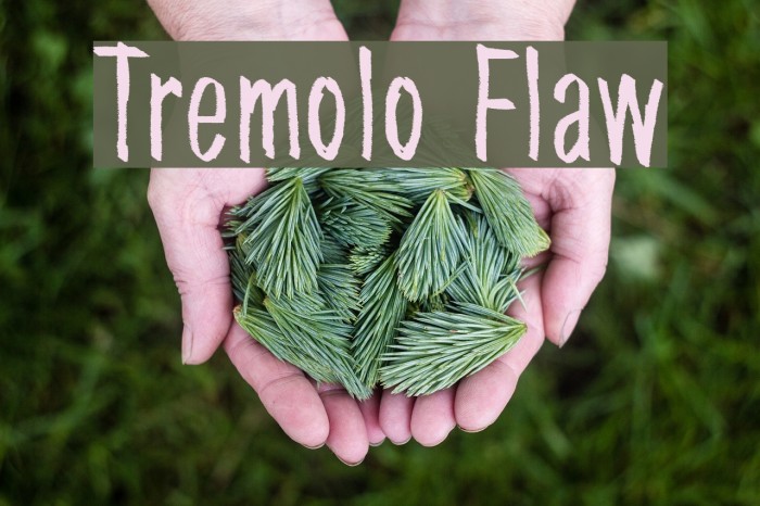Tremolo Flaw Шрифта examples