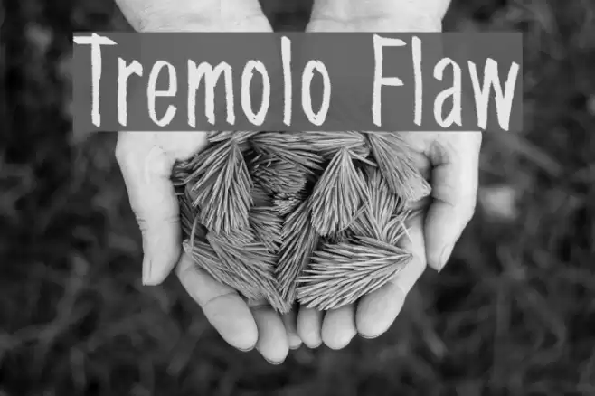 Tremolo Flaw Font examples