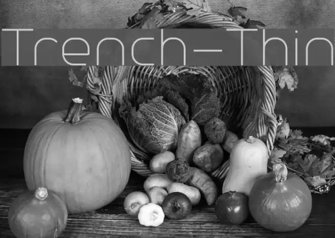 Trench-Thin Font examples