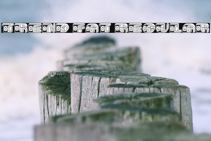 Trend Fat Regular Example 1