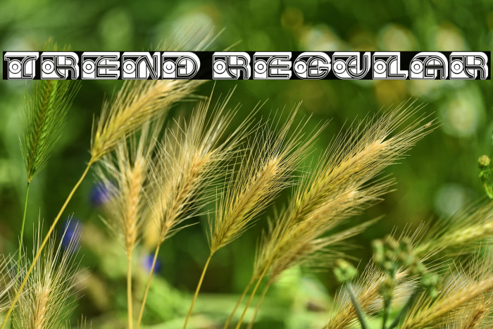 Trend Regular Example 2