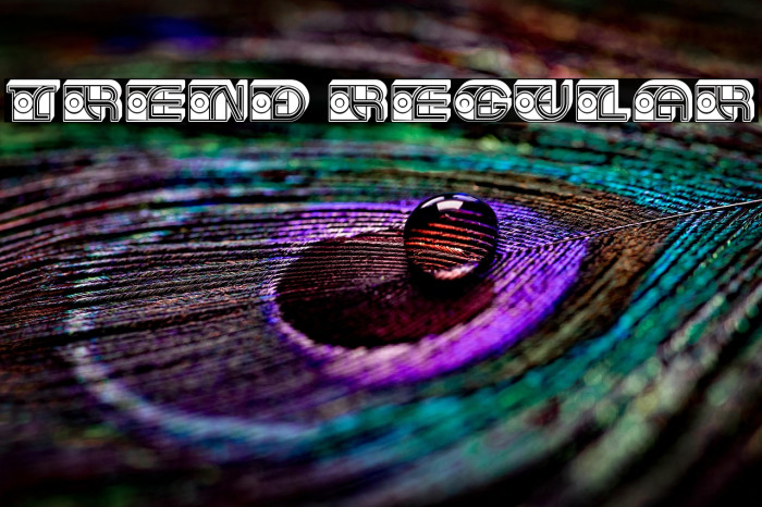 Trend Regular Example 3