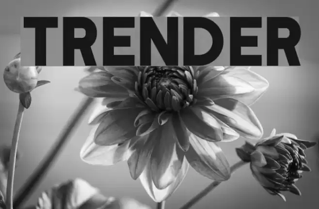 Trender Font examples