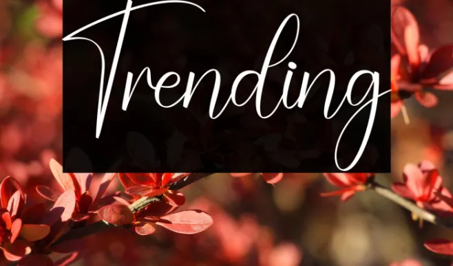 Trending Example 1