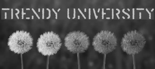Trendy University Font examples