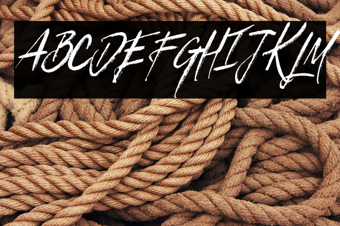 TresTequilas Example 3