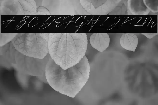 Trescilla Corinne फ़ॉन्ट examples