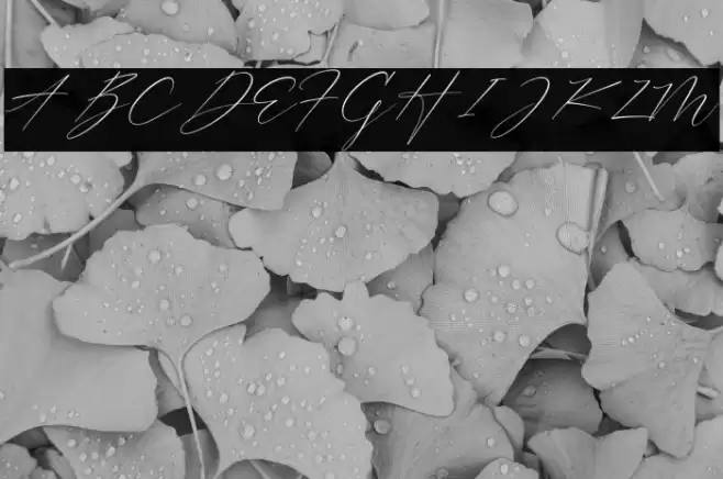 Trescilla Corinne फ़ॉन्ट examples