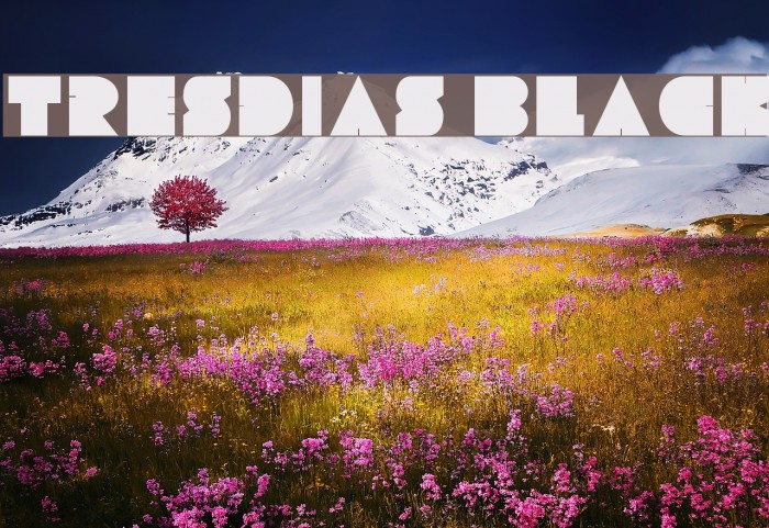 Tresdias Black Example 1