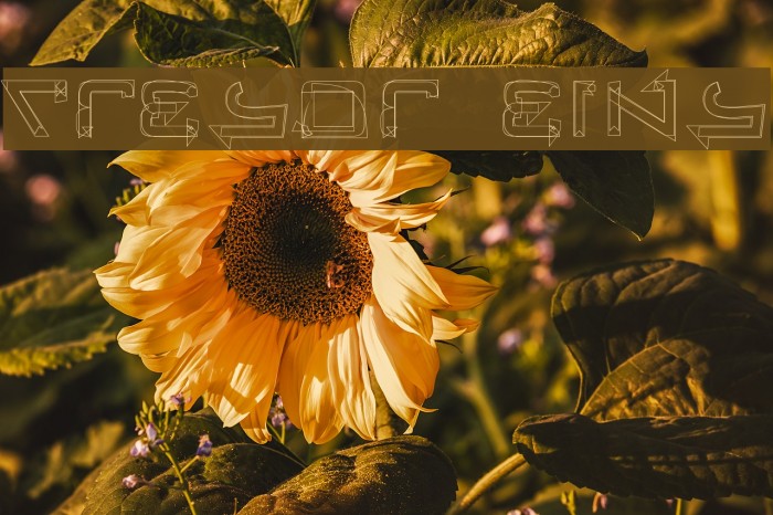 Tresor Eins Example 3