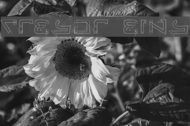 Tresor Eins Font examples