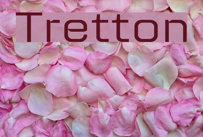 Tretton Font examples