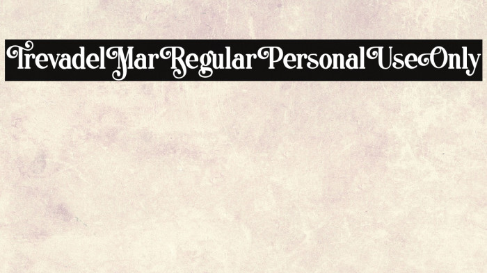 TrevadelMarRegularPersonalUseOnly Example 1
