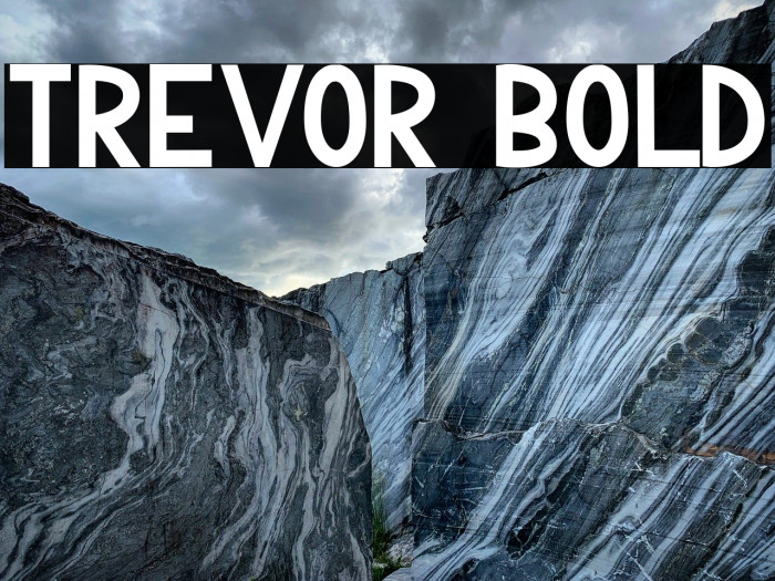 Trevor Bold Example 1