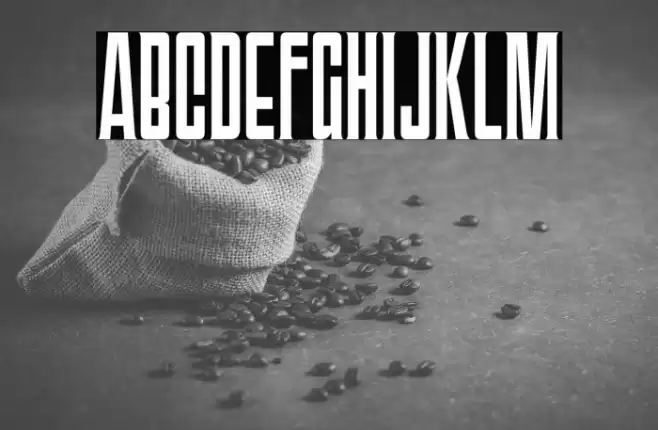 TriacSeventyOne-Regular Font examples