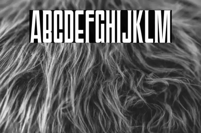 TriacSeventyOne-Regular Font examples