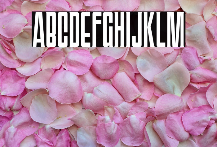 TriacSeventyOne-Regular Example 3