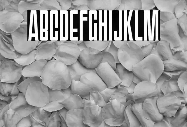 TriacSeventyOne-Regular Font examples