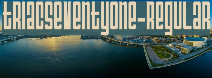 TriacSeventyOne-Regular Font examples