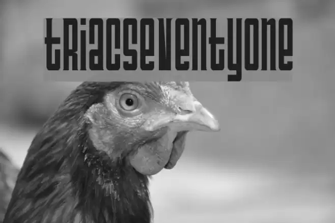 TriacSeventyone Font examples
