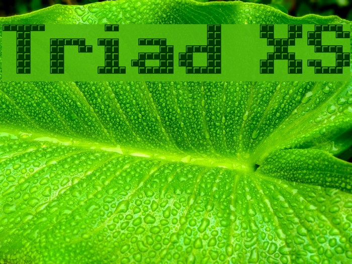 Triad XS Font examples