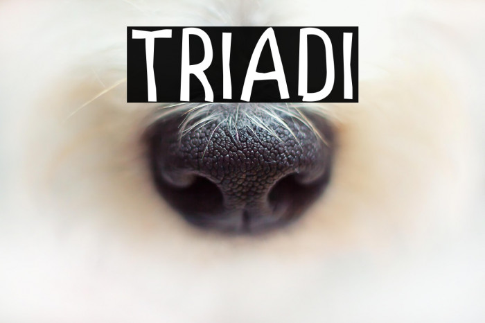 Triadi Example 1