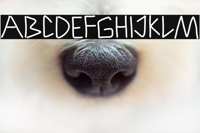 Triangle Break Example 1