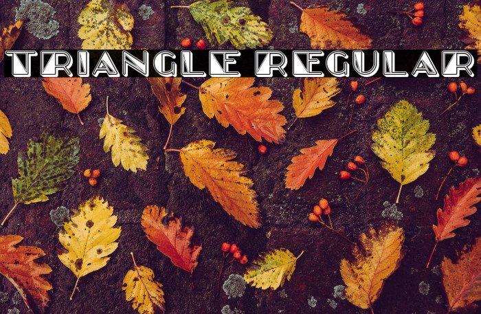 Triangle Regular Example 2