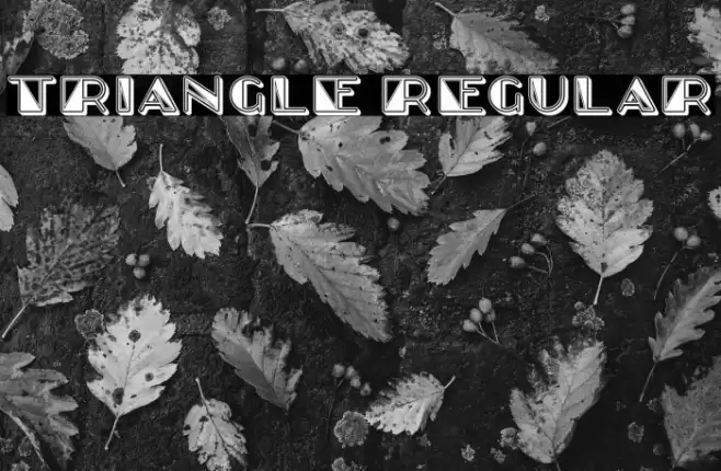 Triangle Regular Font examples