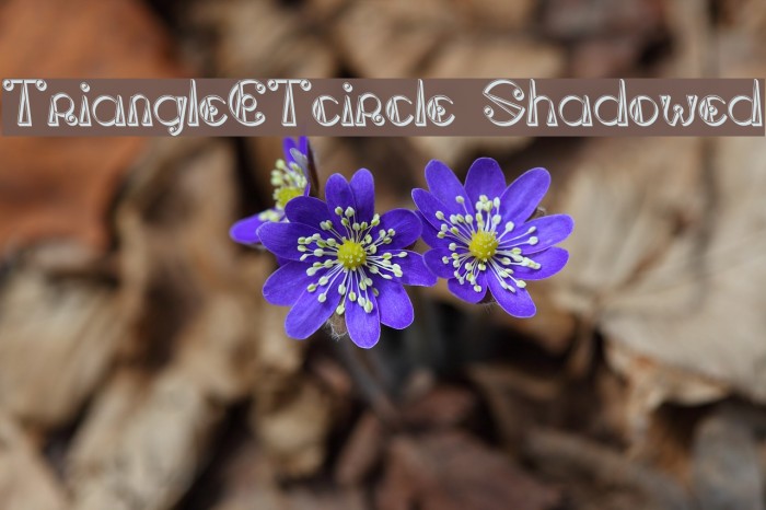TriangleETcircle Shadowed Font examples