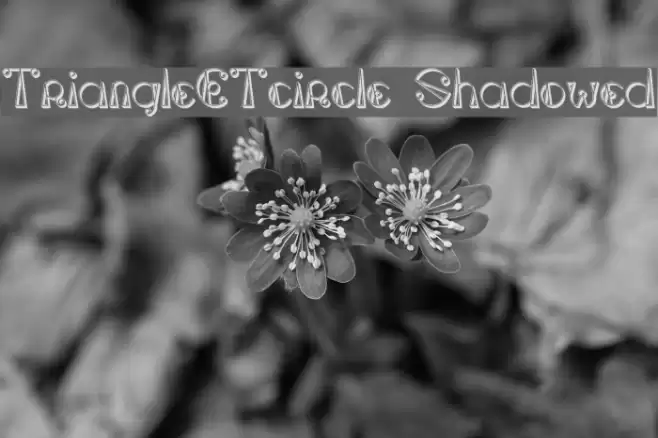 TriangleETcircle Shadowed Font examples