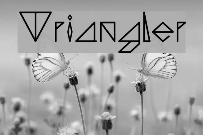 Triangler Font examples