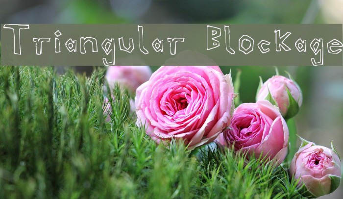 Triangular Blockage Example 2