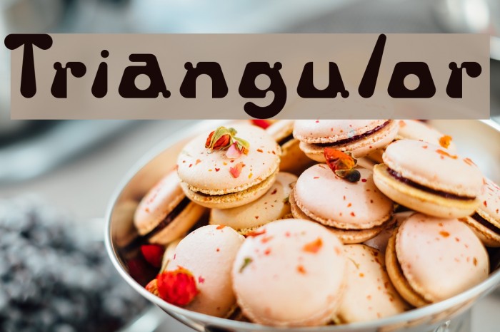 Triangulor Example 1