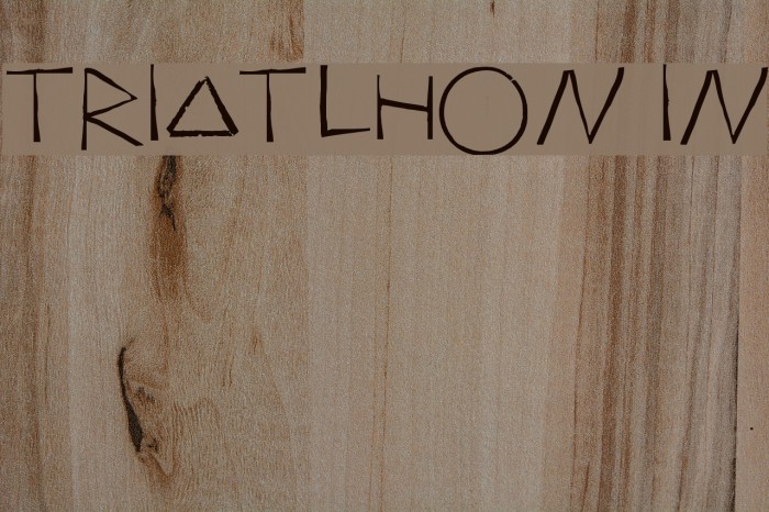 Triatlhon In Example 1