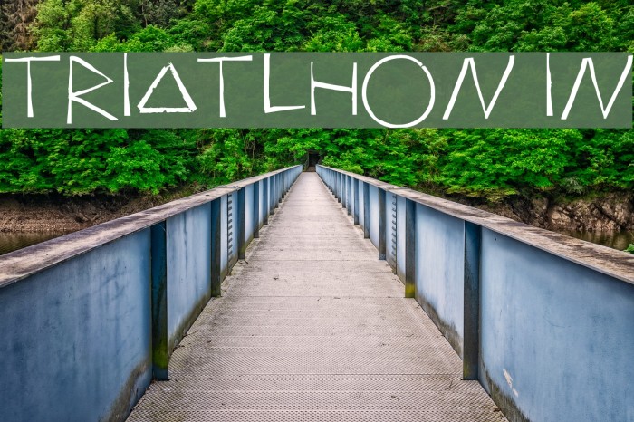 Triatlhon In Example 2