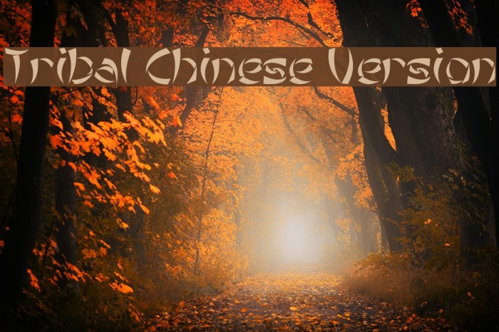 Tribal Chinese Version Example 2